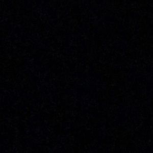 Meet your Posher, Duke